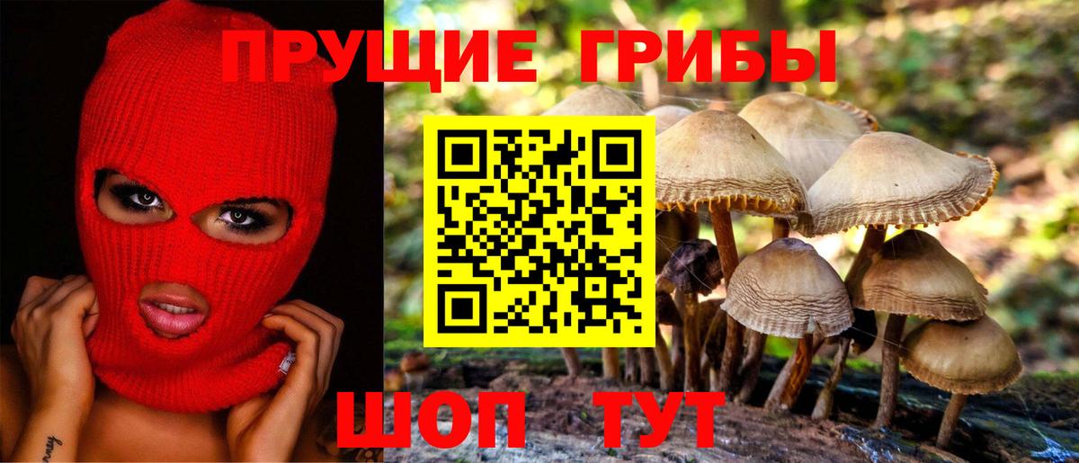 Большой Камень  Галлюциногенные грибы Cubensis  Вход с VPN 